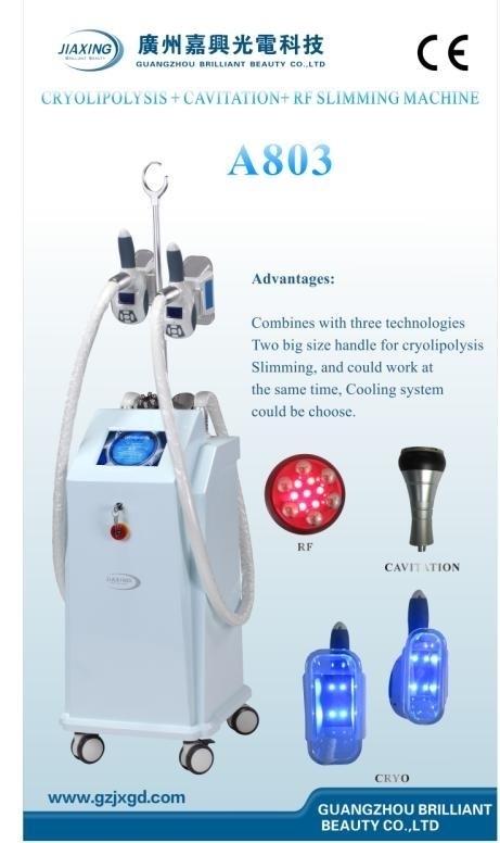 Cryolipolysis no invasor que adelgaza el equipo de la belleza con el tacto Screen/A804 del color de 8 pulgadas