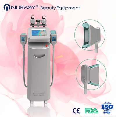 Cuerpo de la máquina 2014/Cryolipolysis de Cryolipolysis que adelgaza el equipo de la belleza